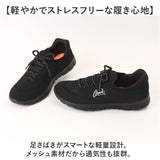 Arnold Palmer スニーカー レディース AN2205 通販 シューズ レディーススニーカー レディースシューズ ウォーキングシューズ 靴 アーノルドパーマー 脱ぎやすい 履きやすい くつ クツ