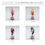 ドライフラワー ガラス 通販 ボトルフラワー コルクボトル 55 フラワーアレンジメント ガラスボトル プリザーブドフラワー フラワーギフト オブジェ 置物 置き物 お花 花 おしゃれ ギフト