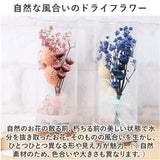 ドライフラワー ガラス 通販 ボトルフラワー コルクボトル 55 フラワーアレンジメント ガラスボトル プリザーブドフラワー フラワーギフト オブジェ 置物 置き物 お花 花 おしゃれ ギフト