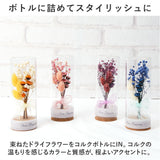 ドライフラワー ガラス 通販 ボトルフラワー コルクボトル 55 フラワーアレンジメント ガラスボトル プリザーブドフラワー フラワーギフト オブジェ 置物 置き物 お花 花 おしゃれ ギフト
