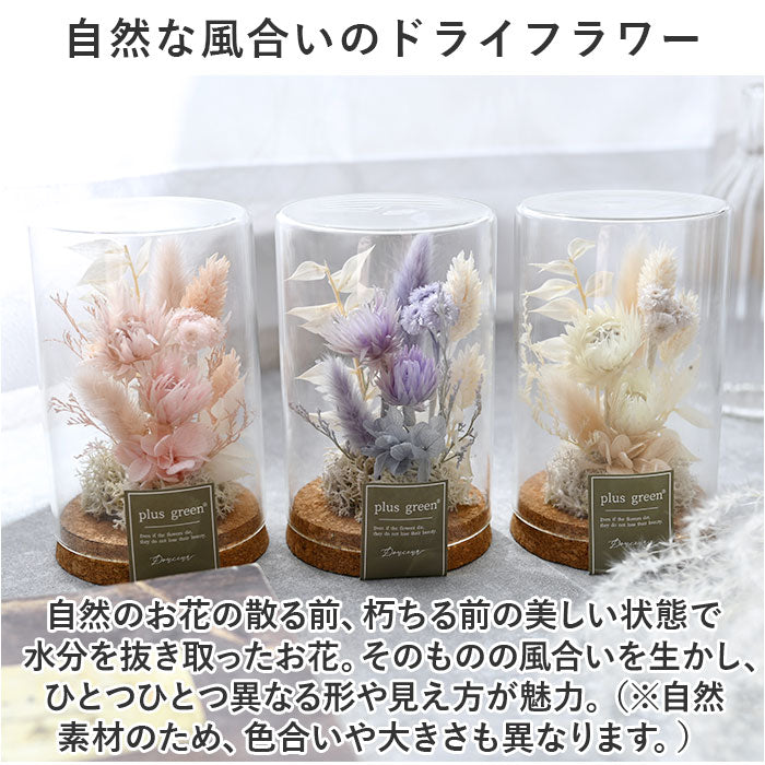 apcorkboottle75_2_2048x.jpg?v=