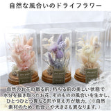 ドライフラワー ガラス 通販 ボトルフラワー コルクボトル 75 フラワーアレンジメント ガラスボトル プリザーブドフラワー フラワーギフト オブジェ 置物 置き物 お花 花 おしゃれ ギフト