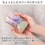 ドライフラワー ガラス 通販 ボトルフラワー コルクボトル 75 フラワーアレンジメント ガラスボトル プリザーブドフラワー フラワーギフト オブジェ 置物 置き物 お花 花 おしゃれ ギフト
