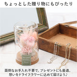ドライフラワー ガラス 通販 ボトルフラワー コルクボトル 75 フラワーアレンジメント ガラスボトル プリザーブドフラワー フラワーギフト オブジェ 置物 置き物 お花 花 おしゃれ ギフト