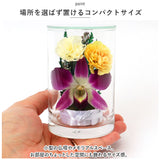 お供え 花 プリザーブドフラワー 通販 仏花 ガラスボトル グラスフラワー ボトルフラワー メモリアル フラワーアレンジメント 仏壇用 お仏壇 枯れない花 贈り物 お彼岸 法事 法要 お盆