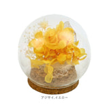 プリザーブドフラワー ガラスドーム 通販 ブリザーブドフラワー フラワーギフト 花 ブリザードフラワー おしゃれ かわいい 贈り物 ギフト 結婚祝い 誕生日 結婚記念日 お祝い 還暦祝い