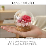 プリザーブドフラワー ガラスドーム 通販 ブリザーブドフラワー フラワーギフト 花 ブリザードフラワー おしゃれ かわいい 贈り物 ギフト 結婚祝い 誕生日 結婚記念日 お祝い 還暦祝い