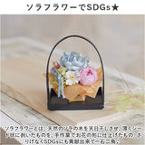 プリザーブドフラワー 和風 通販 和花 のどか フラワーアレンジメント プリザードフラワー フラワーギフト お花 花 フラワー ギフト 造花 結婚祝い 新築祝い 母の日 60代 敬老の日 誕生日