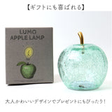 ランプ 通販 LUMO ルーモ LEDランプ 大人かわいい LED電球 単4電池 ガラス コードレス 卓上 テーブル おしゃれ かわいい 屋内用ランプ 屋内用 寝室 玄関 シンプル コンパクト 癒し ギフト