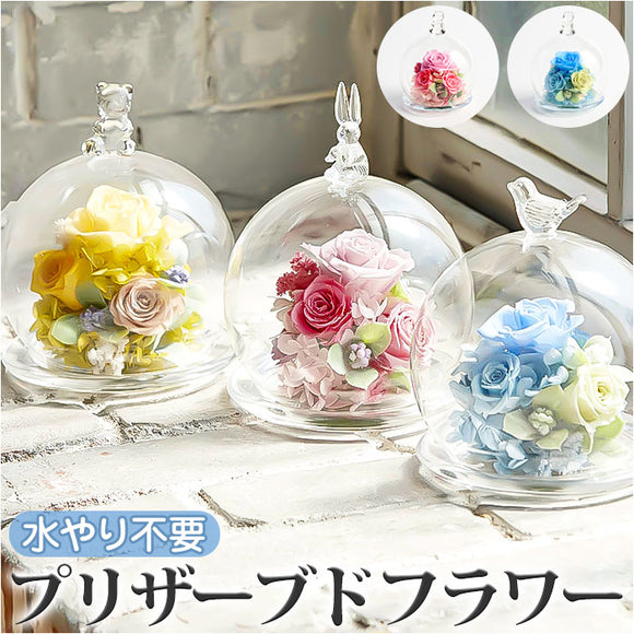 プリザーブドフラワー ガラスドーム 通販 フラワーアレンジメント ブリザードフラワー プリザードフラワー ギフト 結婚祝い 誕生日 母の日 お花 記念日 花器付き フラワーギフト ギフト