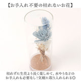 ソラフラワー ガラスボトル 通販 コルクブーケ フラワー 花 はな ドームフラワー ディスプレイ ブーケ 飾り 置き物 置物 母の日 ナチュラル ギフト 贈り物 ギフト かわいい 可愛い 小さめ