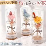 ソラフラワー ガラスボトル 通販 コルクブーケ フラワー 花 はな ドームフラワー ディスプレイ ブーケ 飾り 置き物 置物 母の日 ナチュラル ギフト 贈り物 ギフト かわいい 可愛い 小さめ