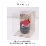 Temari てまり フラワーアレンジメント 通販 プリザーブドフラワー プリザードフラワー 枯れない花 花 お花 アレンジメント 造花 フラワー 母の日 敬老の日 和風 ギフト お祝い 記念日