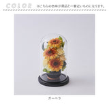 プリザーブドフラワー ガラスドーム S 通販 お花 アレンジ ガラスドームアレンジメント ガラス グラス お供え メモリアル ナチュラル 自然 贈り物 ギフト プレゼント 母の日 誕生日