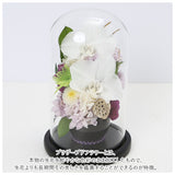 プリザーブドフラワー ガラスドーム S 通販 お花 アレンジ ガラスドームアレンジメント ガラス グラス お供え メモリアル ナチュラル 自然 贈り物 ギフト プレゼント 母の日 誕生日