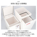 アスベル ゴミ箱 ASVEL 6605 通販 ダストボックス ごみ箱 分別ペダル ごみばこ くず入れ ゴミバコ スリム 2段 2分別 ふた付き 38リットル ペダルペール 縦型 おしゃれ シンプル