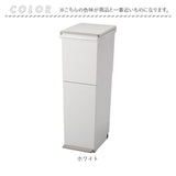 アスベル ゴミ箱 ASVEL 6605 通販 ダストボックス ごみ箱 分別ペダル ごみばこ くず入れ ゴミバコ スリム 2段 2分別 ふた付き 38リットル ペダルペール 縦型 おしゃれ シンプル