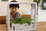 水耕栽培キット 通販 水耕栽培 野菜栽培 家庭菜園 屋内用水耕栽培キット 自動水やり 室内菜園 自動調整 アプリ管理 野菜育成 植物育成 コンパクト設計 スタイッリシュ ミニチュアガーデン