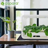 水耕栽培キット 通販 水耕栽培 野菜栽培 家庭菜園 屋内用水耕栽培キット 自動水やり 室内菜園 自動調整 アプリ管理 野菜育成 植物育成 コンパクト設計 スタイッリシュ ミニチュアガーデン