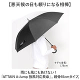 ジャンプ傘 メンズ 65cm 通販 ジャンプ 傘 長傘 雨傘 かさ カサ ワンタッチ 大きめ シンプル 無地 65 センチ グラスファイバー 強風対応 耐風 通勤 通学 男性用 男性 おしゃれ 大人
