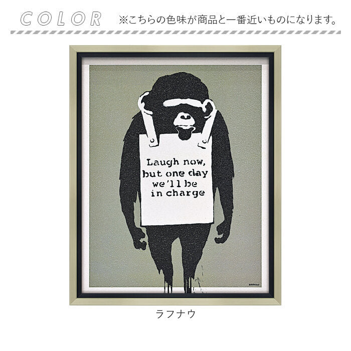 banksy6_9_1024x1024@2x.jpg?v=