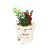 光触媒 観葉植物 卓上 通販 バケツ フェイクグリーン ミニ おしゃれ 造花 ギフト プチギフト 贈り物 かわいい 消臭 抗菌 抗カビ 母の日 置物 インテリア