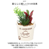 光触媒 観葉植物 卓上 通販 バケツ フェイクグリーン ミニ おしゃれ 造花 ギフト プチギフト 贈り物 かわいい 消臭 抗菌 抗カビ 母の日 置物 インテリア