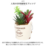 光触媒 観葉植物 卓上 通販 バケツ フェイクグリーン ミニ おしゃれ 造花 ギフト プチギフト 贈り物 かわいい 消臭 抗菌 抗カビ 母の日 置物 インテリア
