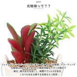 光触媒 観葉植物 卓上 通販 バケツ フェイクグリーン ミニ おしゃれ 造花 ギフト プチギフト 贈り物 かわいい 消臭 抗菌 抗カビ 母の日 置物 インテリア