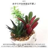 光触媒 観葉植物 卓上 通販 バケツ フェイクグリーン ミニ おしゃれ 造花 ギフト プチギフト 贈り物 かわいい 消臭 抗菌 抗カビ 母の日 置物 インテリア