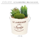 光触媒 観葉植物 卓上 通販 バケツ フェイクグリーン ミニ おしゃれ 造花 ギフト プチギフト 贈り物 かわいい 消臭 抗菌 抗カビ 母の日 置物 インテリア