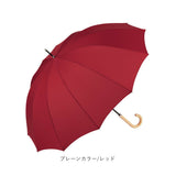 because ビコーズ 雨傘 レディース 長傘 通販 メンズ 12本骨 12フレーム 親骨 63cm ボーダー UVカット ユニセックス 傘 男女兼用 通勤 通学 U-DAY ユーデイ レイングッズ かさ