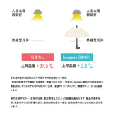 because ビコーズ 日傘 B-096834 通販 晴雨兼用傘 折りたたみ傘 折り畳み傘 完全遮光 遮熱 傘 かさ 雨傘 55cm 55センチ uvカット レディース 女性 おしゃれ かわいい 大人 女子 UPF50+