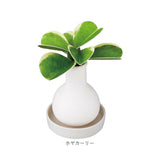 自然気化式 加湿器 かわいい 通販 卓上 気化式加湿器 小型 観葉植物 フェイクグリーン 卓上加湿器 気化式 オフィス おしゃれ 観葉加湿器 可愛い コンパクト 静音 コードレス オシャレ