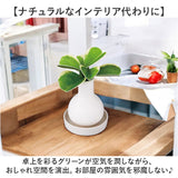 自然気化式 加湿器 かわいい 通販 卓上 気化式加湿器 小型 観葉植物 フェイクグリーン 卓上加湿器 気化式 オフィス おしゃれ 観葉加湿器 可愛い コンパクト 静音 コードレス オシャレ