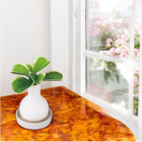 自然気化式 加湿器 かわいい 通販 卓上 気化式加湿器 小型 観葉植物 フェイクグリーン 卓上加湿器 気化式 オフィス おしゃれ 観葉加湿器 可愛い コンパクト 静音 コードレス オシャレ