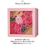 入浴剤 ギフト 通販 バスフラワー バスフィズ バスギフト 癒しグッズ ギフト 母の日 父の日 記念日 母の日ギフト 父の日ギフト 122-25 デイズインブルーム Days in Bloom ボディケア