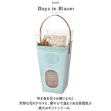 リードディフューザー 通販 ディフューザー アロマディフューザー スティック ガラスボトル フレグランス 芳香器 アロマ インテリア 贈り物 ギフト デイズインブルーム Days in Bloom