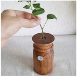 一輪挿し おしゃれ 通販 ウッディ フラワーベース M 花瓶 花びん かびん 花器 一輪ざし BRESKORD ブレスコード 小さい 小さめ 置き物 ドライフラワー 生花 かわいい ギフト ナチュラル