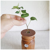 一輪挿し おしゃれ 通販 ウッディ フラワーベース S 花瓶 花びん かびん 花器 一輪ざし BRESKORD ブレスコード 小さめ 小さい 置き物 ドライフラワー 生花 かわいい ギフト ナチュラル
