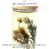 B-nature リードディフューザー 430ml 通販 スティック 芳香剤 フレグランス ルームフレグランス ディフューザー おしゃれ 大容量 スティックタイプ 香り リビング トイレ 玄関 雑貨