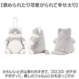 キーホルダー ぬいぐるみ 通販 ぬいぐるみキーホルダー チェーンマスコット マスコット 猫マスコット 猫 ねこ ネコ バッグチャーム 持ち運び かわいい おしゃれ チャーム アニマル 動物