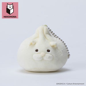 cekeyring02_300x300.jpg?v=