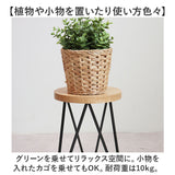 サイドテーブル 丸型 おしゃれ 通販 ナイトテーブル テーブル 丸 インテリアスタンド フラワースタンド 植物台 30cm 花台 アイアン 木製 室内 Φ20cm POSH LIVING ポッシュリビング