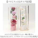 Green house グリーンハウス ソープフラワー アレンジメント 通販 花 フラワー 造花 フラワーギフト 石けん せっけん ギフト 贈り物 贈りもの 透明バッグ クリアバッグ GREEN HOUSE