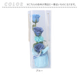Green house グリーンハウス ソープフラワー アレンジメント 通販 花 フラワー 造花 フラワーギフト 石けん せっけん ギフト 贈り物 贈りもの 透明バッグ クリアバッグ GREEN HOUSE