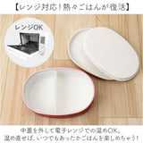 弁当箱 1段 480ml 通販 日本製 ランチボックス 一段 お弁当箱 一段弁当箱 レディース 大人 女子 おしゃれ シンプル 小さめ かわいい 中フタ以外 食洗機対応 蓋を外して 電子レンジ対応