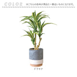 光触媒 フェイクグリーン 通販 観葉植物 人工観葉植物 ポット 鉢植え CMポット インテリアグリーン イミテーショングリーン 消臭 抗菌 防カビ 屋内 室内 おしゃれ かわいい 玄関 リビング