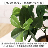 光触媒 フェイクグリーン 通販 観葉植物 人工観葉植物 ポット 鉢植え CMポット インテリアグリーン イミテーショングリーン 消臭 抗菌 防カビ 屋内 室内 おしゃれ かわいい 玄関 リビング