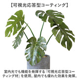 光触媒 フェイクグリーン 通販 観葉植物 人工観葉植物 ポット 鉢植え CMポット インテリアグリーン イミテーショングリーン 消臭 抗菌 防カビ 屋内 室内 おしゃれ かわいい 玄関 リビング